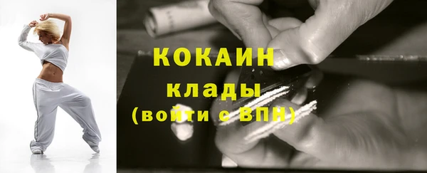 твердый Пересвет