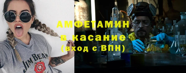 твердый Пересвет